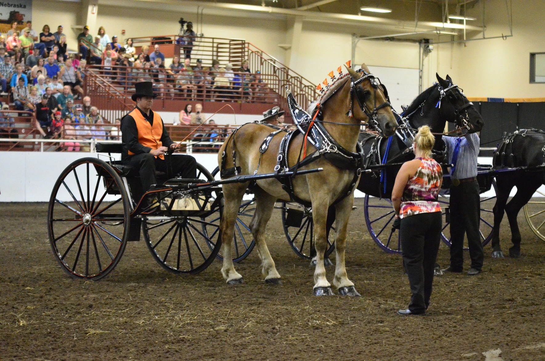 8-25-19 Draft Horse Hitch Final (41).JPG